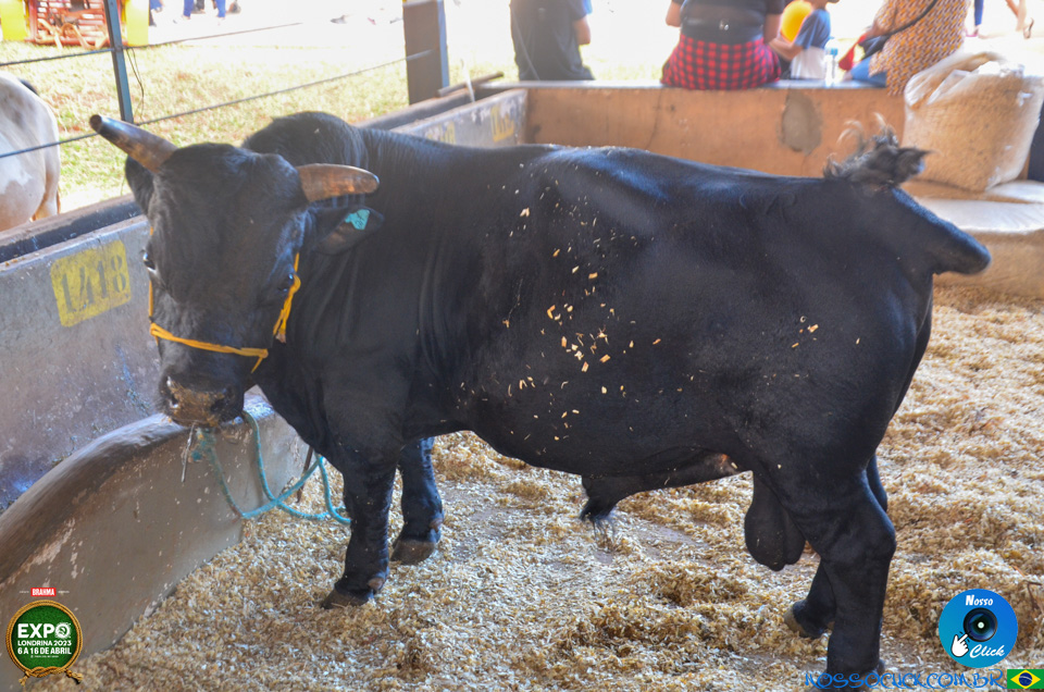 EDSC_0042.jpg