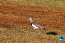 IMG_7700.jpg