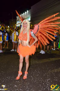 DSC_6913.jpg