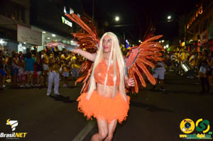 DSC_7057.jpg
