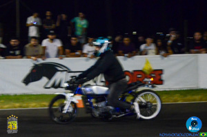 DSC_1502.jpg