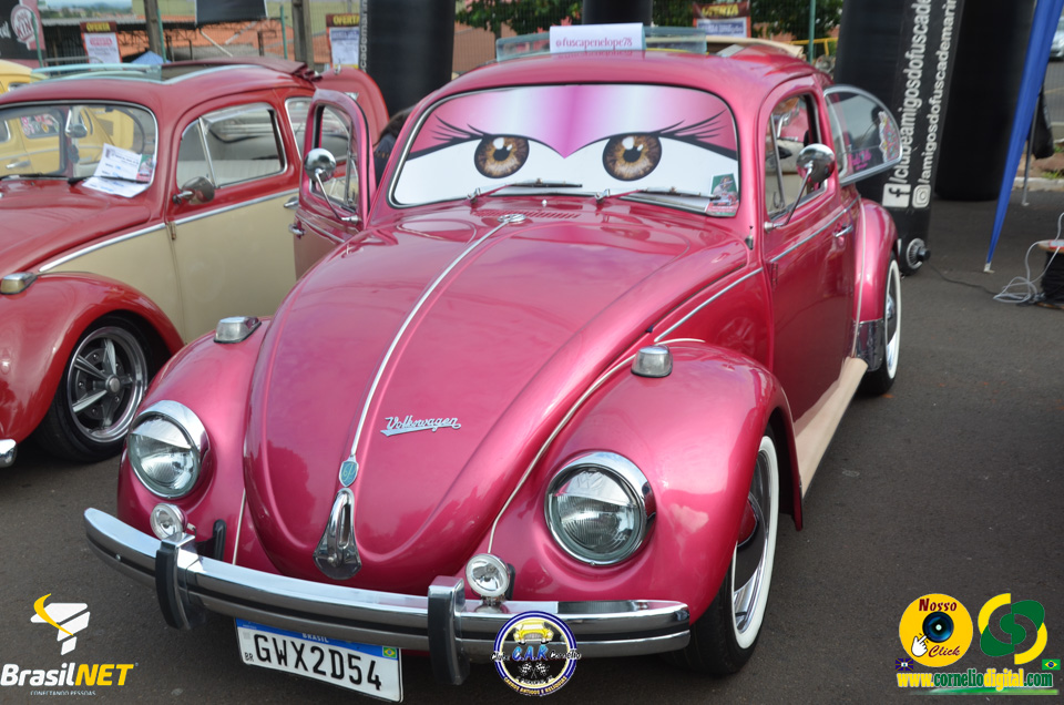 DSC_9313.jpg