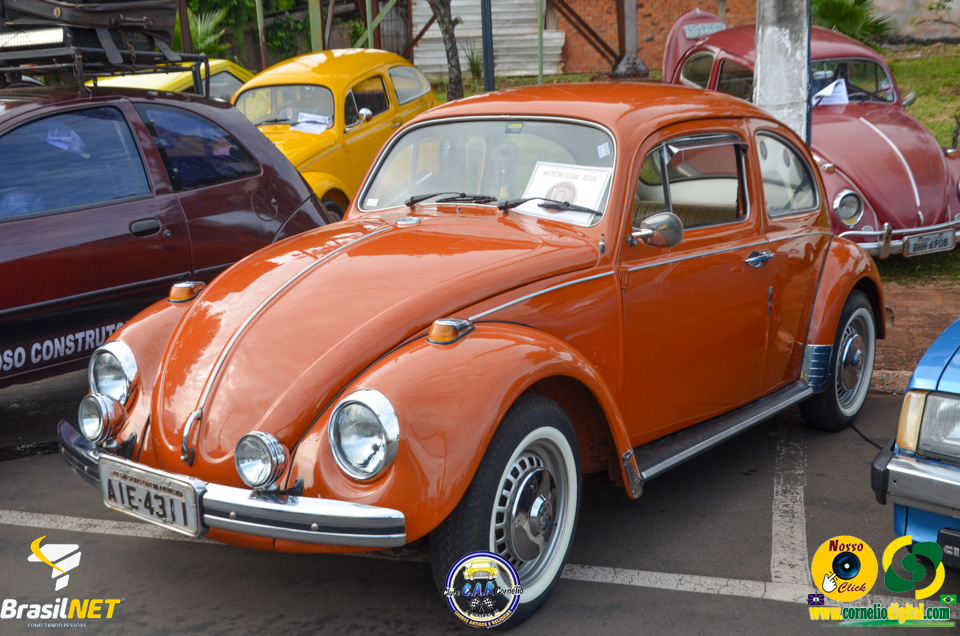 DSC_9340.jpg