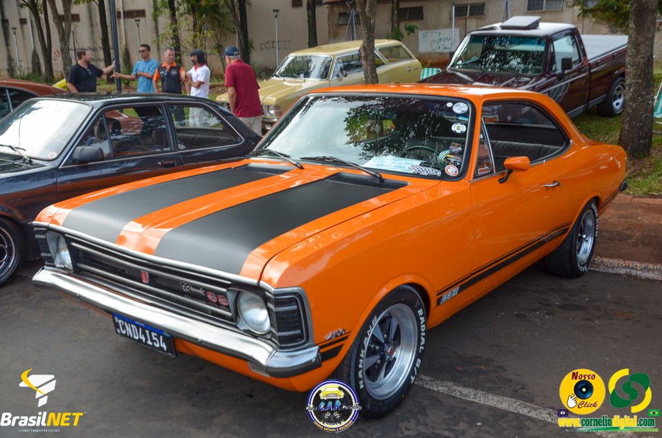DSC_9353.jpg