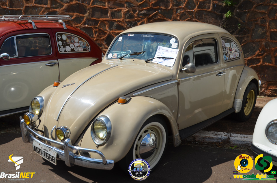 DSC_9632.jpg