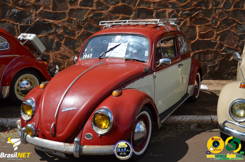 DSC_9633.jpg