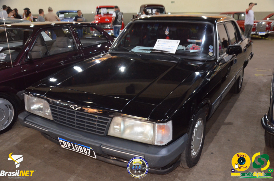 DSC_9669.jpg