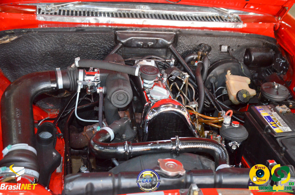 DSC_9888.jpg