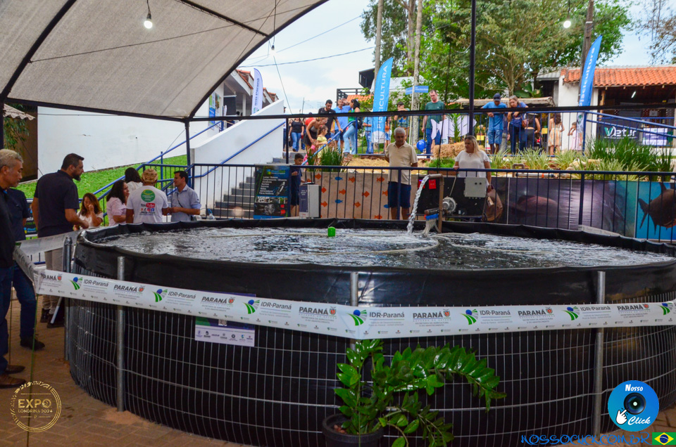 DSC_6128.jpg