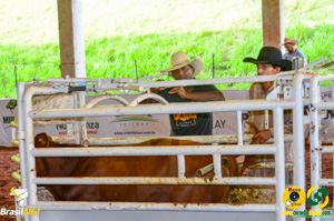 DSC_5968.jpg
