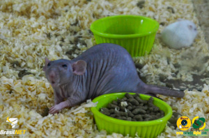 DSC_6235.jpg
