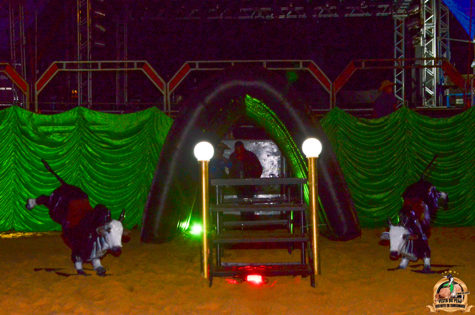 CDSC_9404.jpg