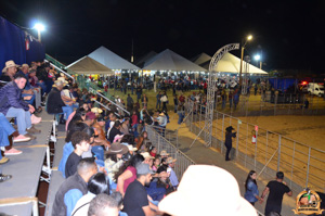 CDSC_9335.jpg