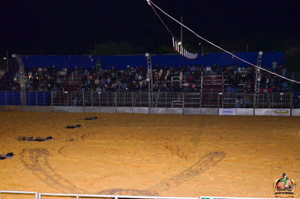 CDSC_9338.jpg