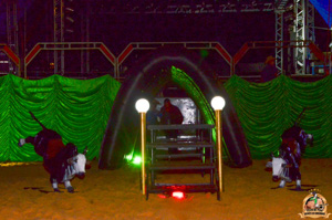 CDSC_9404.jpg