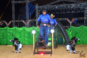 CDSC_9586.jpg
