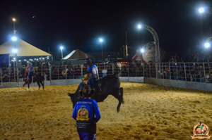 DSC_0021.jpg