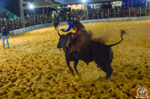 DSC_0074.jpg