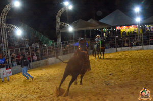 DSC_0075.jpg