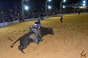 DSC_0124.jpg