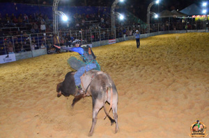 Filename=DSC_0144.jpg
Filesize=304KiB
Dimensions=960x636
Date added=Jun 14, 2024 DSC_0144.jpg