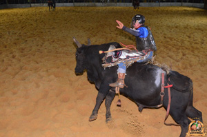 Filename=DSC_0157.jpg
Filesize=277KiB
Dimensions=960x636
Date added=Jun 14, 2024 DSC_0157.jpg