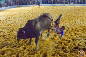 Filename=DSC_0166.jpg
Filesize=455KiB
Dimensions=960x636
Date added=Jun 14, 2024 DSC_0166.jpg