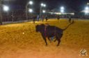 Filename=DSC_0973.jpg
Filesize=359KiB
Dimensions=960x636
Date added=Jun 18, 2024 DSC_0973.jpg