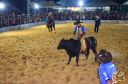 Filename=DSC_1000.jpg
Filesize=367KiB
Dimensions=960x636
Date added=Jun 18, 2024 DSC_1000.jpg