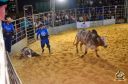 Filename=DSC_1020.jpg
Filesize=337KiB
Dimensions=960x636
Date added=Jun 18, 2024 DSC_1020.jpg