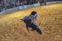 Filename=DSC_1039.jpg
Filesize=298KiB
Dimensions=960x636
Date added=Jun 18, 2024 DSC_1039.jpg