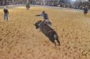 Filename=DSC_1043.jpg
Filesize=293KiB
Dimensions=960x636
Date added=Jun 18, 2024 DSC_1043.jpg