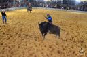 Filename=DSC_1045.jpg
Filesize=338KiB
Dimensions=960x636
Date added=Jun 18, 2024 DSC_1045.jpg