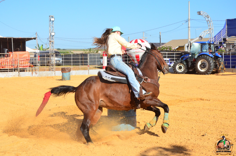 DSC_2184.jpg