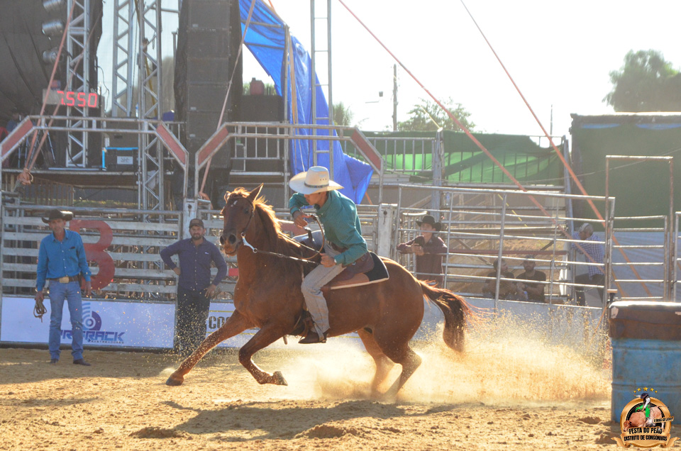 DSC_2333.jpg