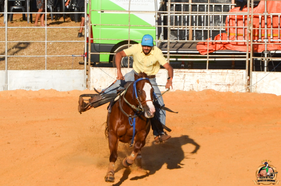 DSC_2363.jpg