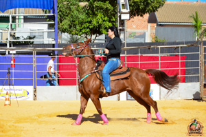 DSC_1616.jpg