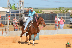 DSC_2011.jpg
