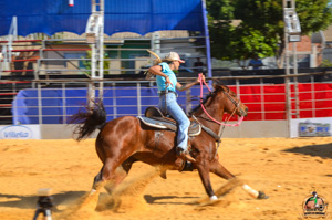 DSC_2015.jpg