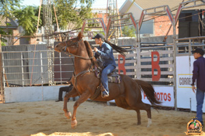 DSC_2031.jpg