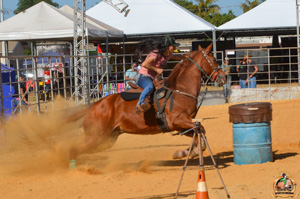 DSC_2065.jpg