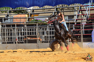 DSC_2176.jpg