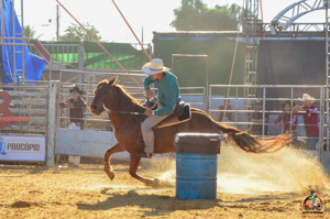 DSC_2332.jpg
