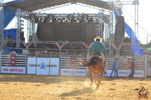 Filename=DSC_2337.jpg
Filesize=349KiB
Dimensions=960x636
Date added=Jun 20, 2024 DSC_2337.jpg