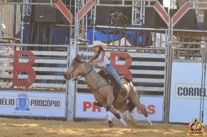 Filename=DSC_2338.jpg
Filesize=319KiB
Dimensions=960x636
Date added=Jun 20, 2024 DSC_2338.jpg