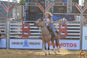Filename=DSC_2341.jpg
Filesize=322KiB
Dimensions=960x636
Date added=Jun 20, 2024 DSC_2341.jpg
