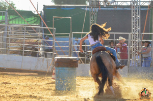 Filename=DSC_2344.jpg
Filesize=326KiB
Dimensions=960x636
Date added=Jun 20, 2024 DSC_2344.jpg