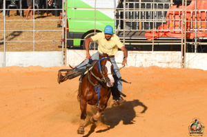 DSC_2363.jpg
