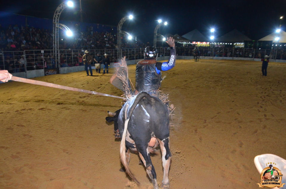 DSC_3385.jpg