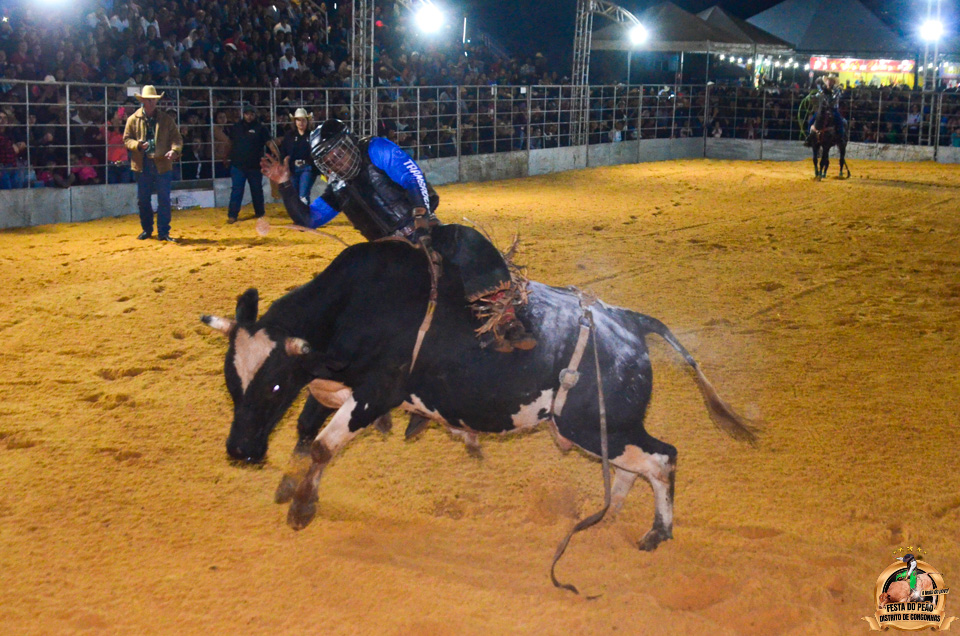 DSC_3389.jpg